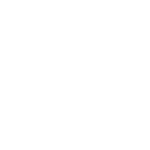 MEGA WATT